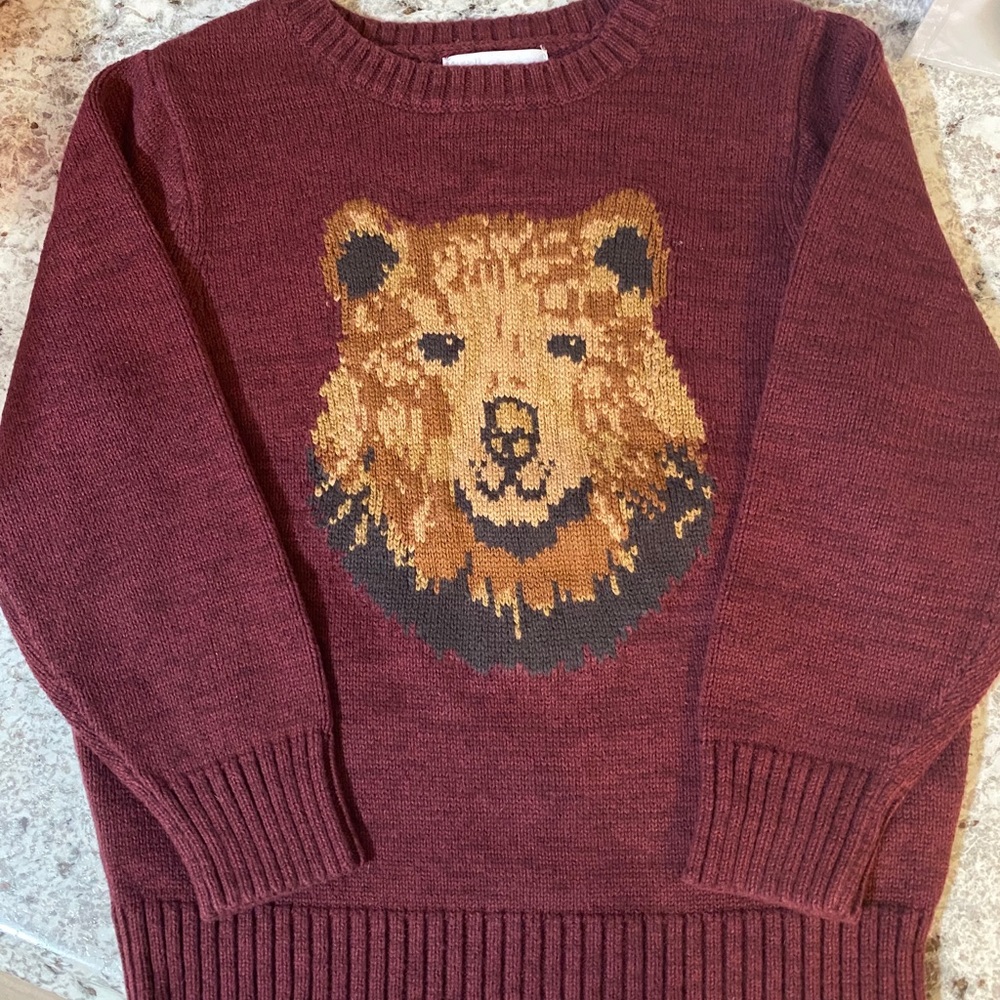 Cute boys sweater
